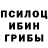 Галлюциногенные грибы Magic Shrooms DMB FORCE