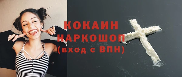 первитин Богданович