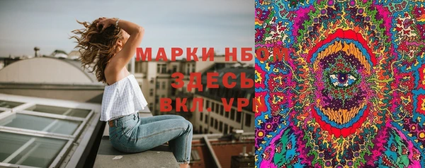 бошки Бронницы