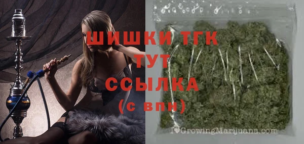 бошки Бронницы