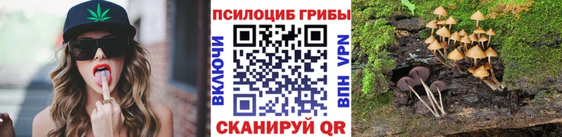 Псилоцибиновые грибы мицелий  что такое   Мурино 