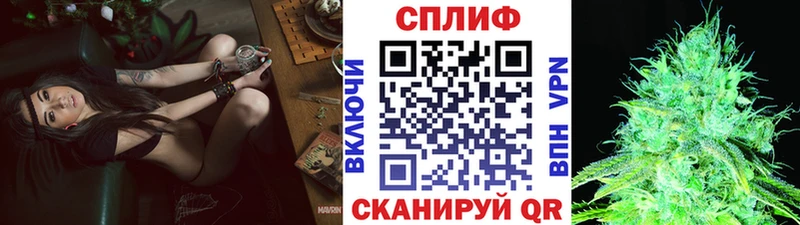 купить закладку  кракен как зайти  Каннабис план  Мурино 